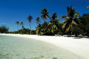 Earnest Schreiner - Daddy Arizona, USA
