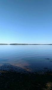 Marcelo Elliott - Daddy Detroit, USA