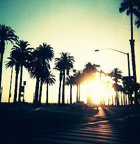 Sam Garcia - Daddy New Jersey, USA