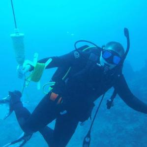 Sean Reaves - Daddy Calgary, Canada